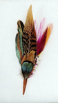 Your Majesty Exclusivo Feather